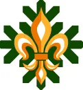 Cercetasii României